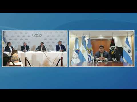 Portada video