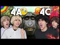 4A Und 4C Im ZOO Welche Klasse Ist Besser BEST OF Mohi 07