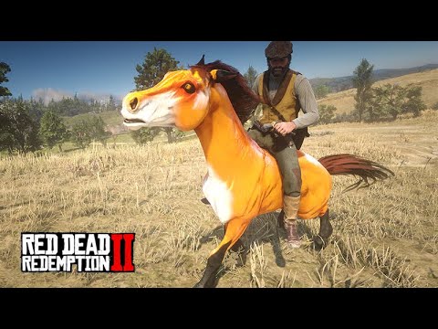 Em busca do CAVALO RAPOSA o cavalo laranja  -  O COLECIONADOR DE CAVALOS -  ep17