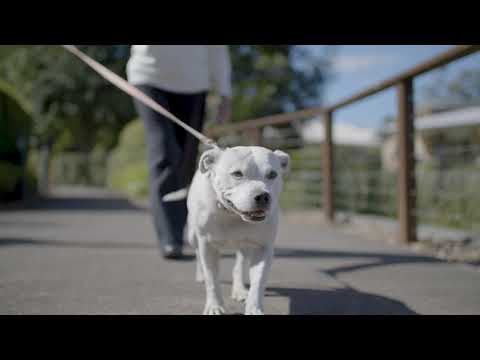 Churches of Christ - Sanctuary Park Retirement Community