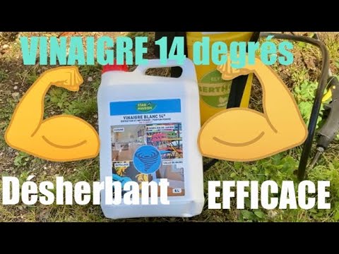 😱😱Le Meilleur désherbant Naturel vinaigre blanc 14 degrés écologique allée gravier