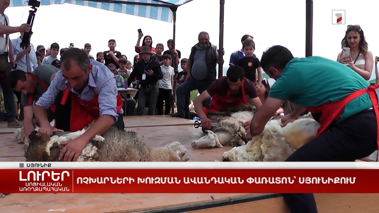 Ոչխարների խուզման ավանդական փառատոն՝ Սյունիքում