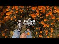 Amapolas - Leo Rizzi // letra
