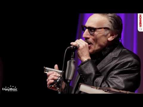 Rick Estrin & The Nightcats live at WHF2013 - Callin all Fools