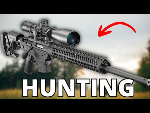 These are the BEST .308 Rifles for Beginners!