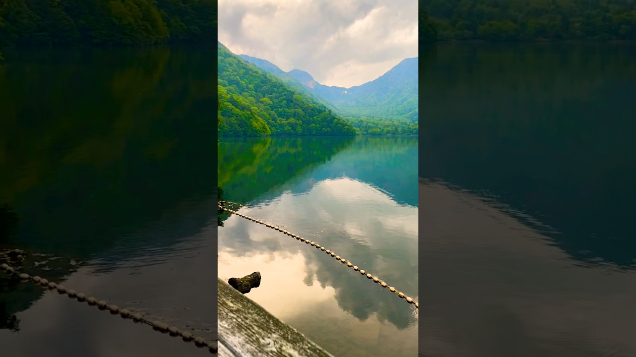 Just go with the flow #shorts #foryou #travel #youtubeshorts