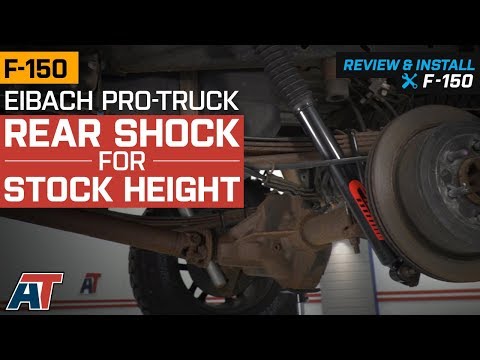 2009-2013 F150 Eibach Pro-Truck Rear Shock for Stock Height 2WD & 4WD Review & Install