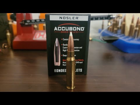 NOSLER PARTITION: The King of Hunting Bullets