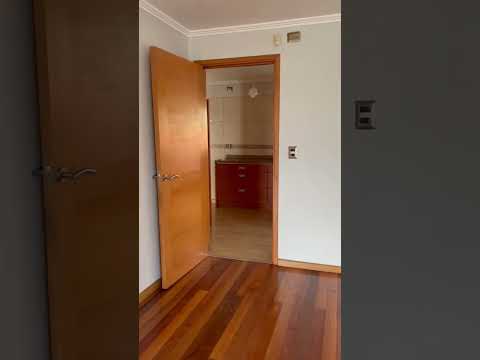 video image