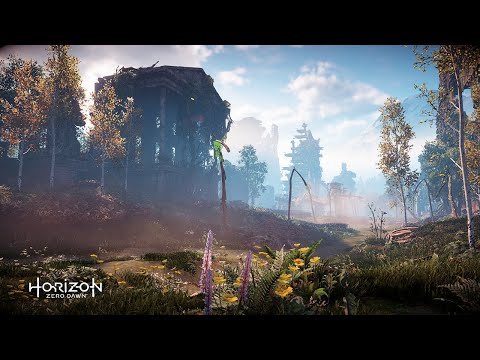 Horizon Zero Dawn FX 4100/ R7 260x