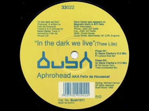 Aphrohead AKA Felix Da Housecat - In The Dark We Live (Thee Lite)