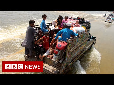 Pakistan floods are 'a climate catastrophe' says UN - BBC News