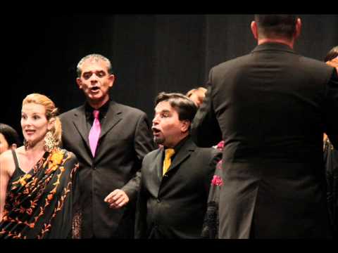 Video Flash Seghizzi 2011 - Camerata Lacunensis (c)