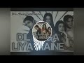 Dil Laga Liya Maine 8d Song Dil Hai Tumhaara Udit Narayan Alka Yagnik 8daudio Subscribe