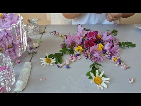 Fresh flower Mandala for manifestation!🪷🏵🌺🌿🪻🩷💫