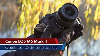 Canon EOS M6 Mark II | 1.000 Euro und ohne Sucher: Ist das sinnvoll?