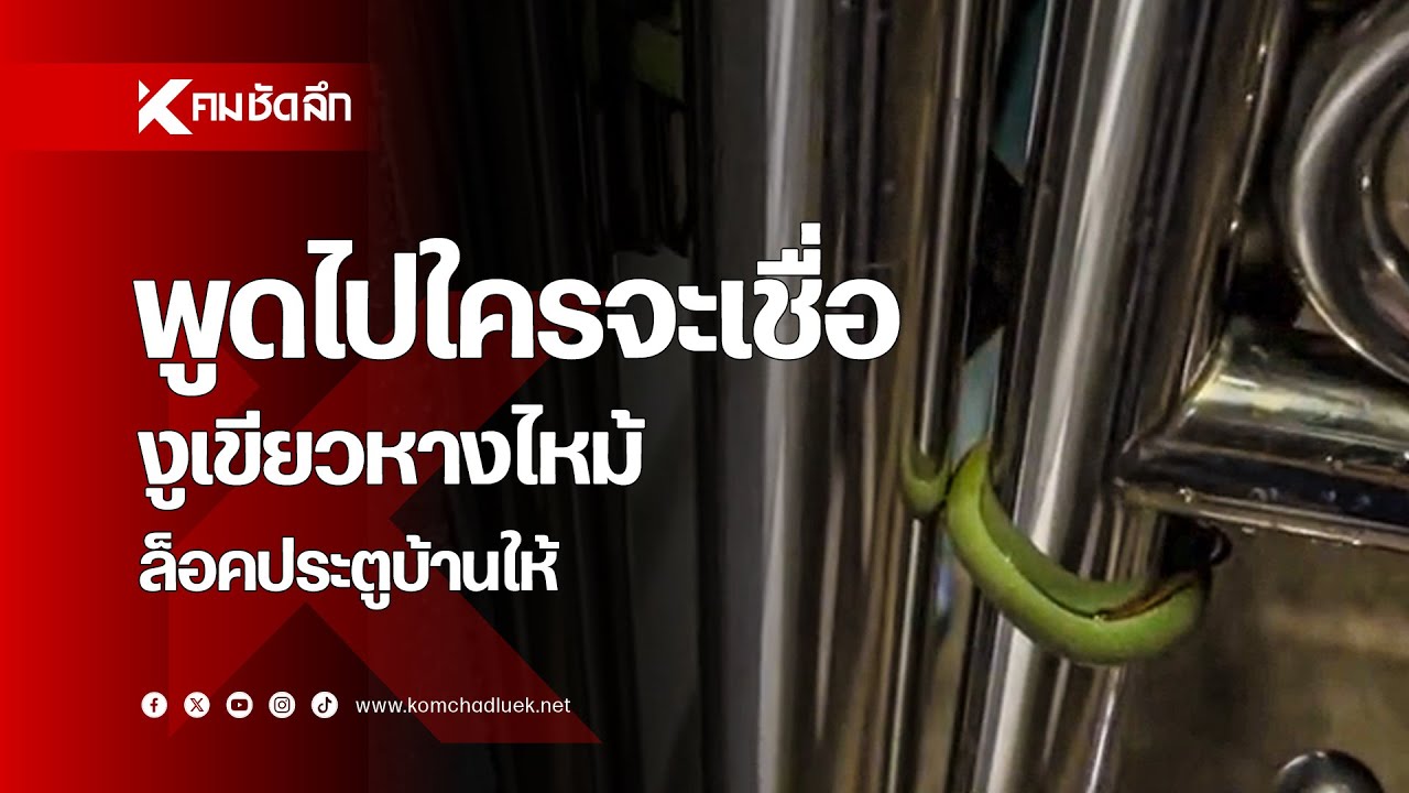 พูดไปใครจะเชื่อ งูเขียวหางไหม้ล็อคประตูบ้านให้
