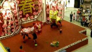 Double Lion Dance