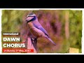 Promo Live Broadcast Of The International Dawn Chorus Day On 3rd May 2020 On DD Kisan