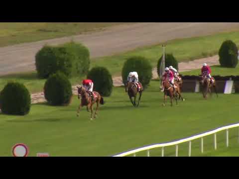 6. dostih - 12. ZLATÝ POHÁR EŽ PRAHA - Videozáznam Zlatého poháru EŽ Praha 2018 v Chuchli