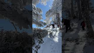 2025/03/20剣山登山