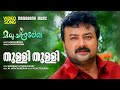 Thulli Thulli Madhuchandralekha Video Vijay Yesudas Gireesh Puthenchery M Jayachandran