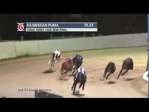 2020 CORAL ESSEX VASE - 3RD SEMI - T6 KILMESSAN PUMA