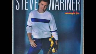 Steve Wariner - Why Goodbye