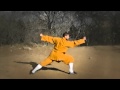 Northern Shaolin Kung Fu 12 Tan Tui ( Shifu Sal Redner )