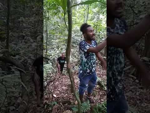 Astec-Unipa . Pengunjung Gua Alam di Gunung meja Manokwari Papua barat