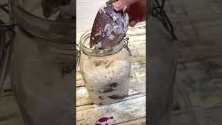 Download lagu Panen ikan PEKASAM  #pekasam #bekasamikan #fermentasiikan mp3