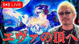 【エヴァ17】MQリゾー藤沢店
