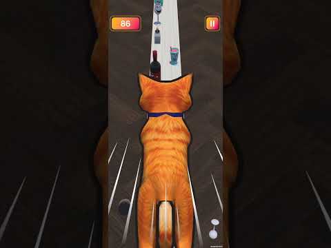 Meow-hem: Chaos Cat video thumbnail