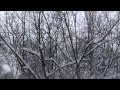 Claude Debussy- the snow is dancing 