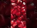 Pomegranate Fruit Status Short Status