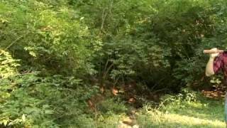 The Ballad of Paul B.