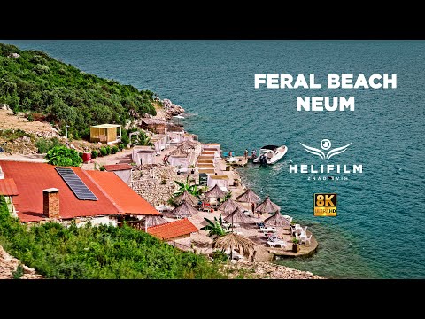 8K Neum — Feral Beach