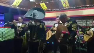 Video de Andres Villarreal Mariachi Real Azteca