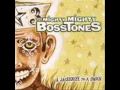 The Mighty Mighty Bosstones - S#%t Outta Luck