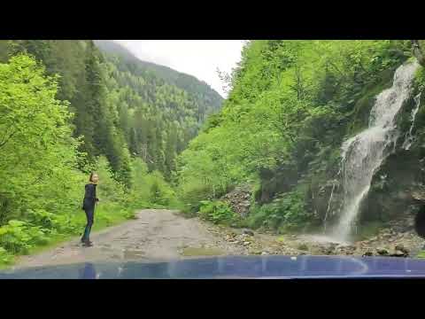 Coborare Cabana Petrimanu - Ciungetu Lotru