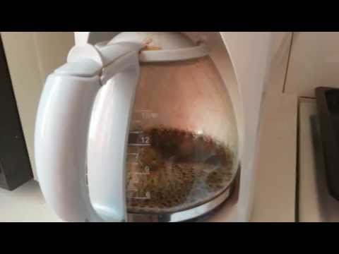 Huumoria vaan lauantai aamuun