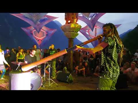 Improvised stage | olive tree dance  shankra festival 2019