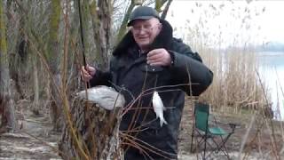 Ссылка