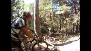 MTB Eloy Giant Trance X 29