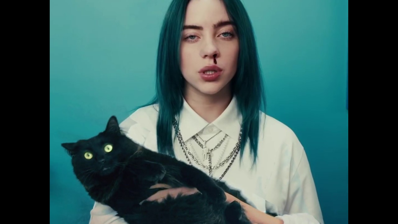 Billie Eilish ft. OwlKitty (Bad Cat)