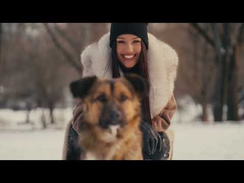 Alina Eremia - Dacă mai vrei | Official Video