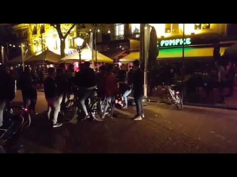 Vechtpartij op Parade Den Bosch, helm politieagent gestolen