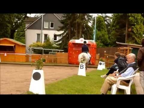 Hamburg Cup 2012 - Petit Marc Aurel - Nazila Lotz - L-Kandare