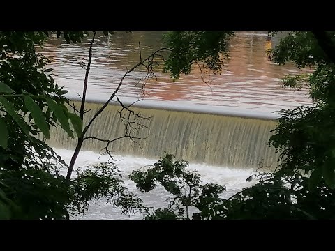 💦Der Fluss MOLDAVA lebt mit ENTSPANNENDER Musik🧘‍♂️ PRAG