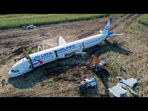 15 impossible Miracle airplane landings in Aviation history